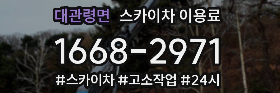 대관령면 스카이차 이용료