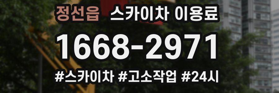 정선읍 스카이차 이용료