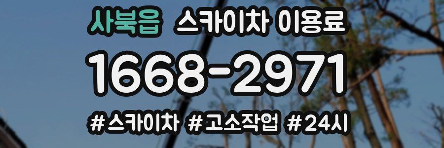 사북읍 스카이차 이용료