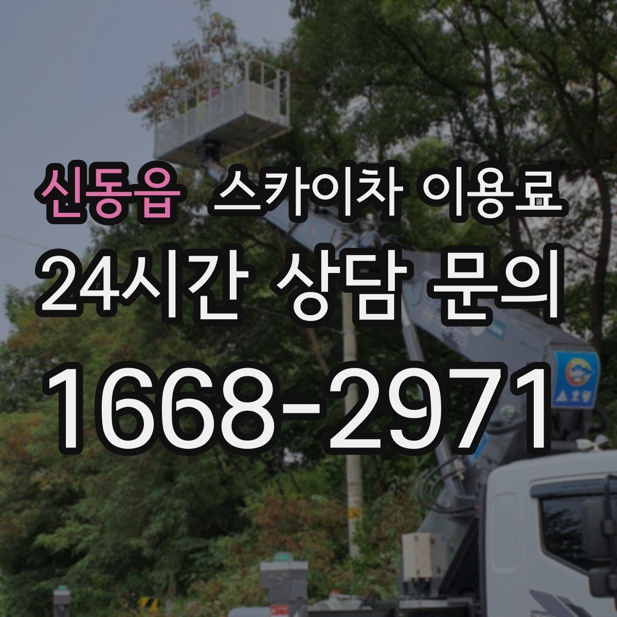 신동읍 스카이차 이용료 산정에서 작업 범위가 중요한 이유