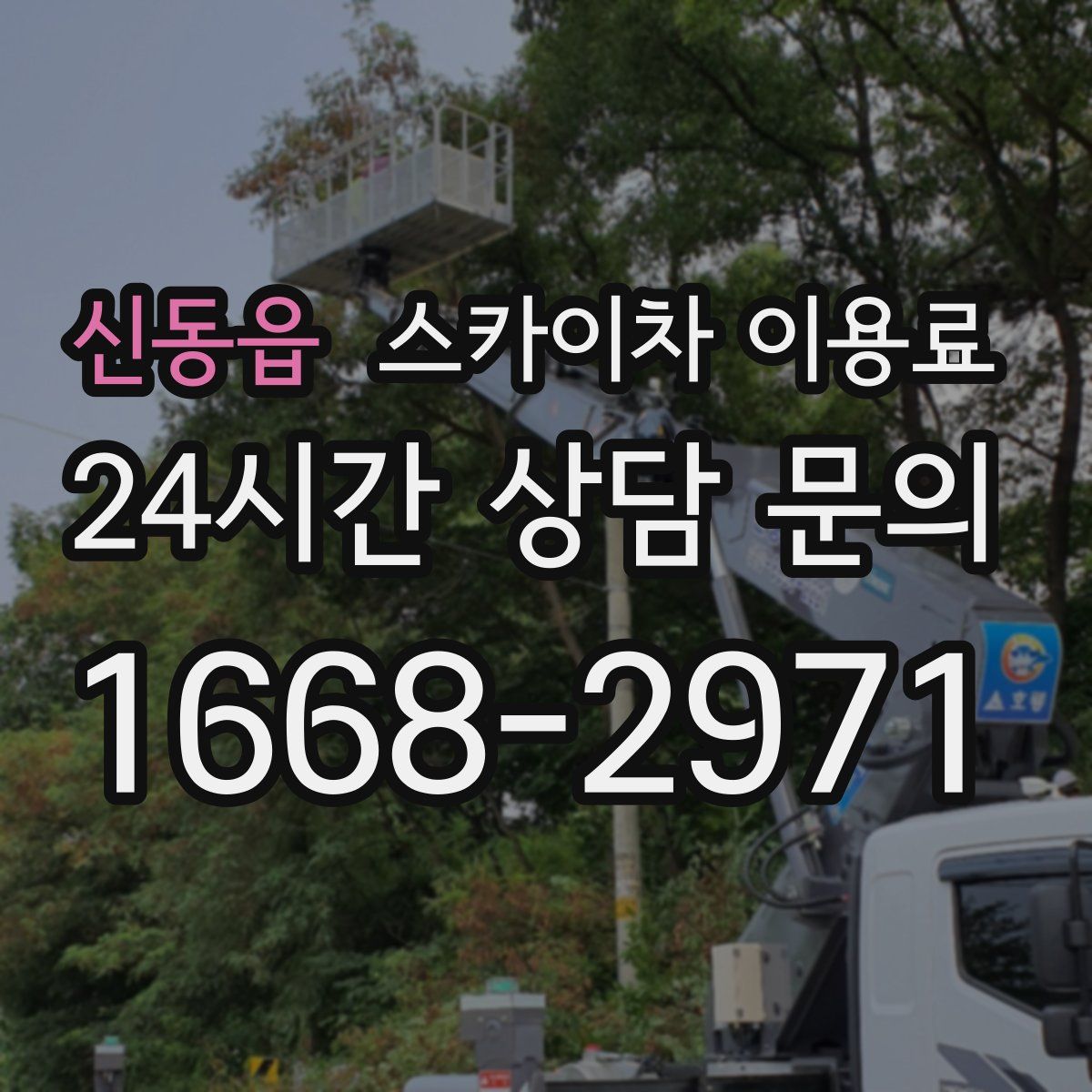 신동읍 스카이차 이용료