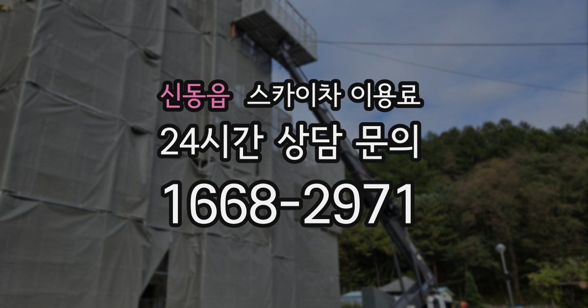 신동읍 스카이차 이용료