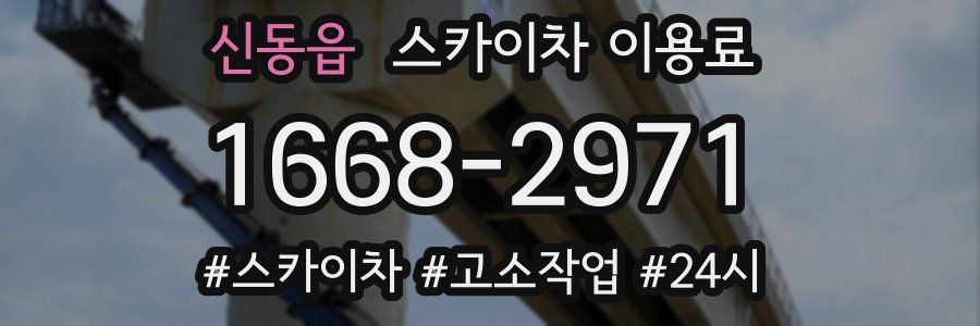 신동읍 스카이차 이용료