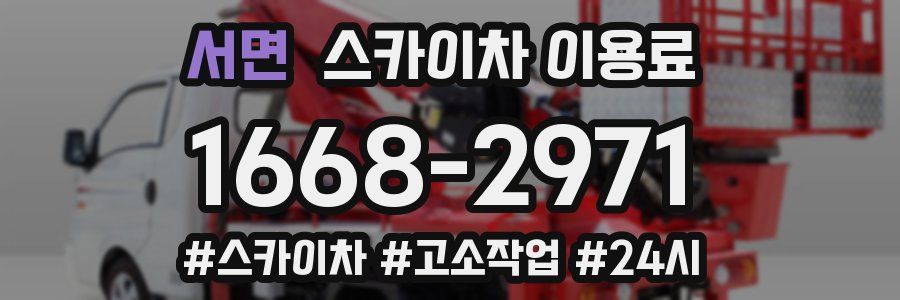서면 스카이차 이용료