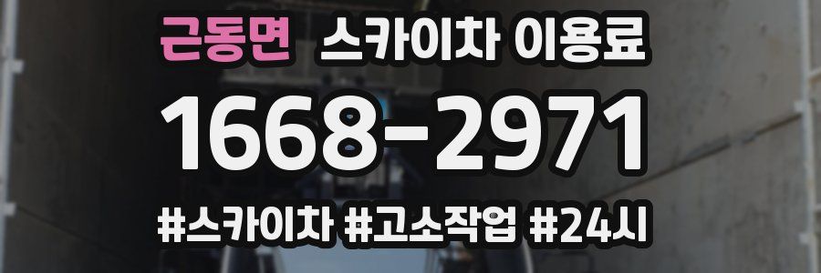 근동면 스카이차 이용료