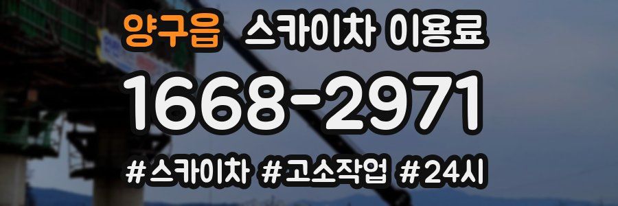 양구읍 스카이차 이용료