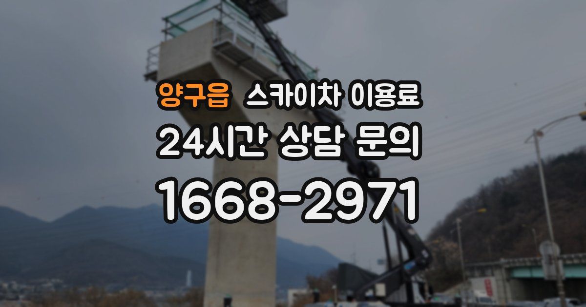 양구읍 스카이차 이용료