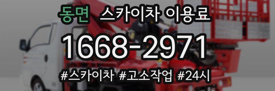 동면 스카이차 이용료