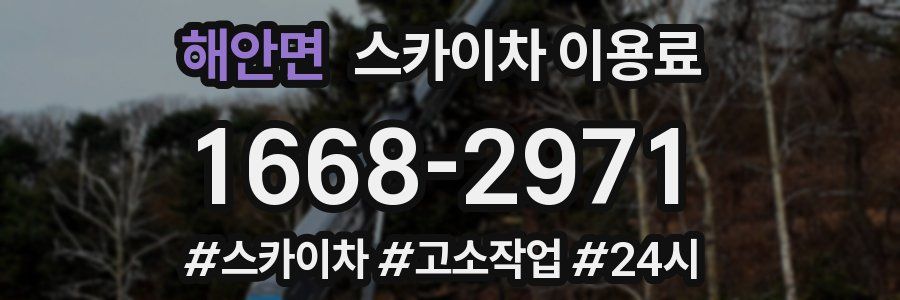 해안면 스카이차 이용료