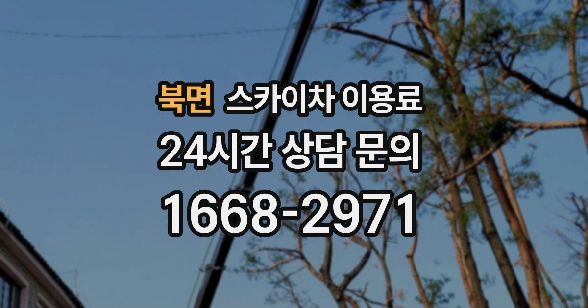 북면 스카이차 이용료