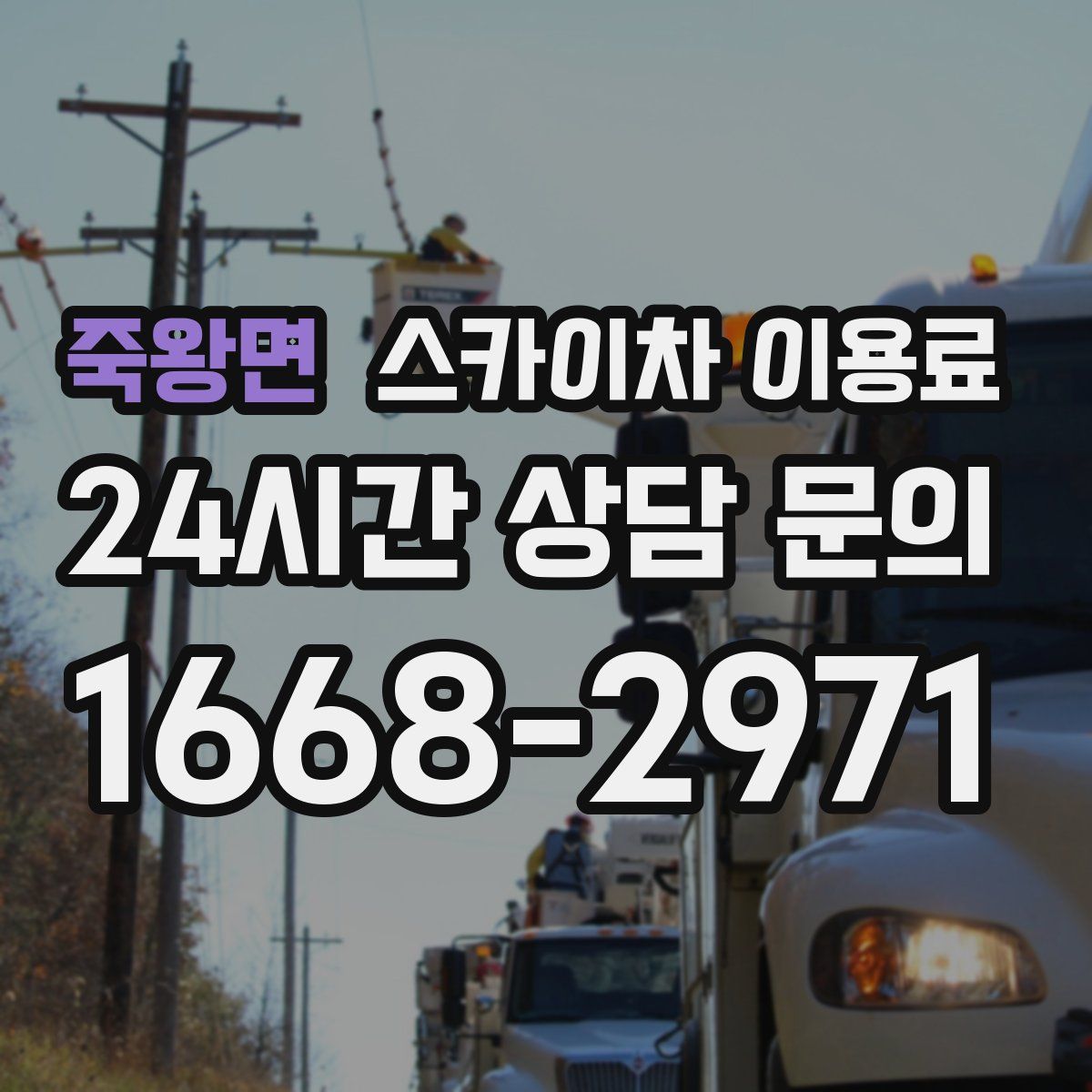 죽왕면 스카이차 이용료