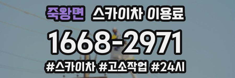 죽왕면 스카이차 이용료