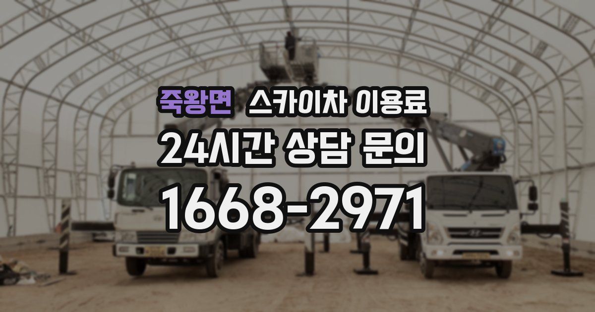 죽왕면 스카이차 이용료