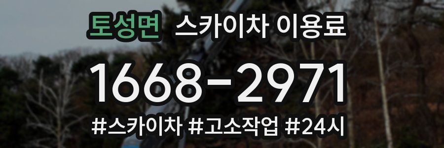 토성면 스카이차 이용료