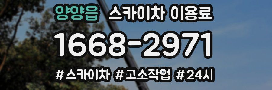 양양읍 스카이차 이용료