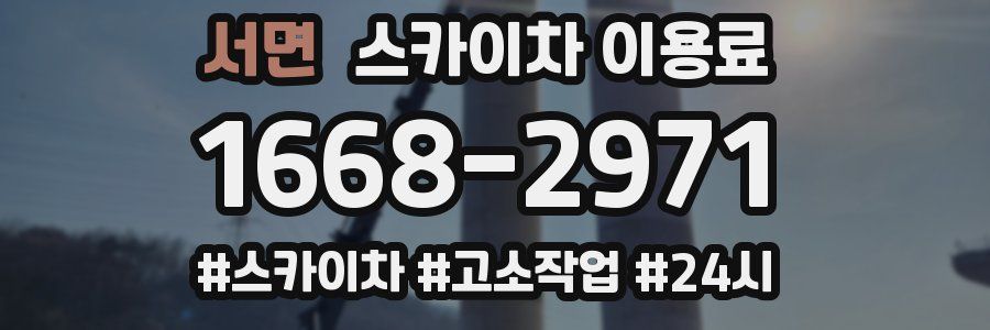 서면 스카이차 이용료