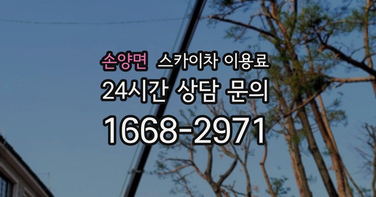 손양면 스카이차 이용료