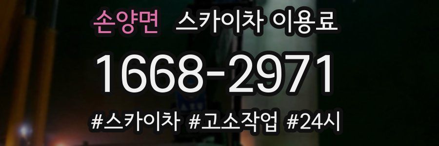 손양면 스카이차 이용료