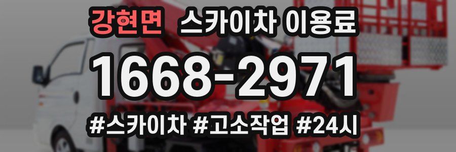 강현면 스카이차 이용료