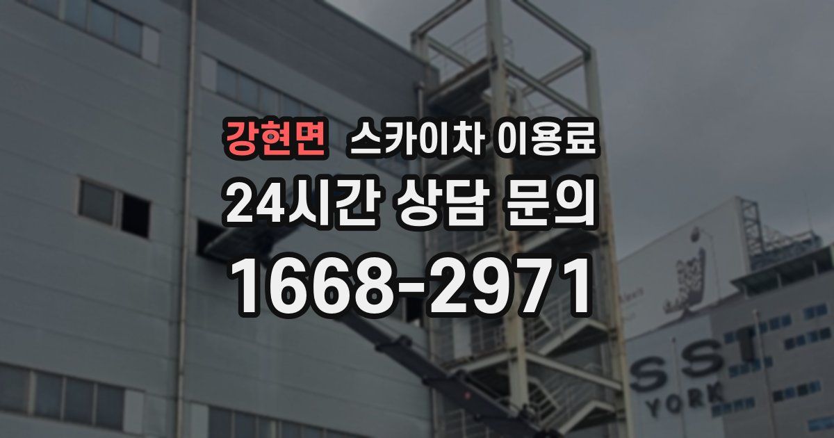 강현면 스카이차 이용료