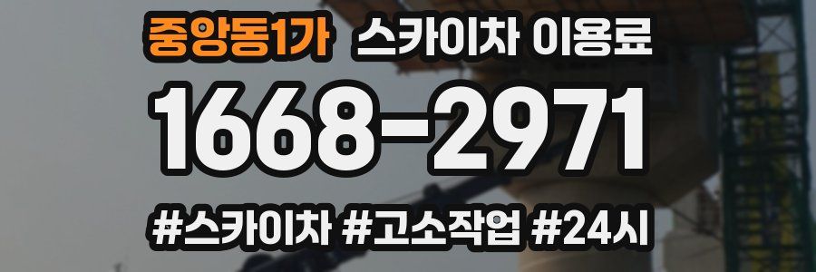 중앙동1가 스카이차 이용료