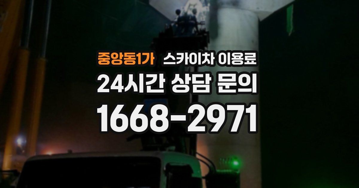 중앙동1가 스카이차 이용료
