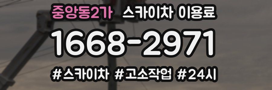 중앙동2가 스카이차 이용료