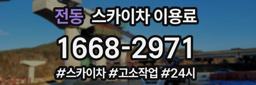 전동 스카이차 이용료