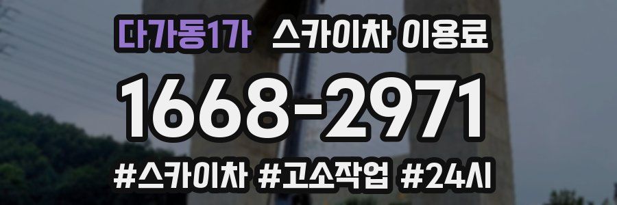 다가동1가 스카이차 이용료
