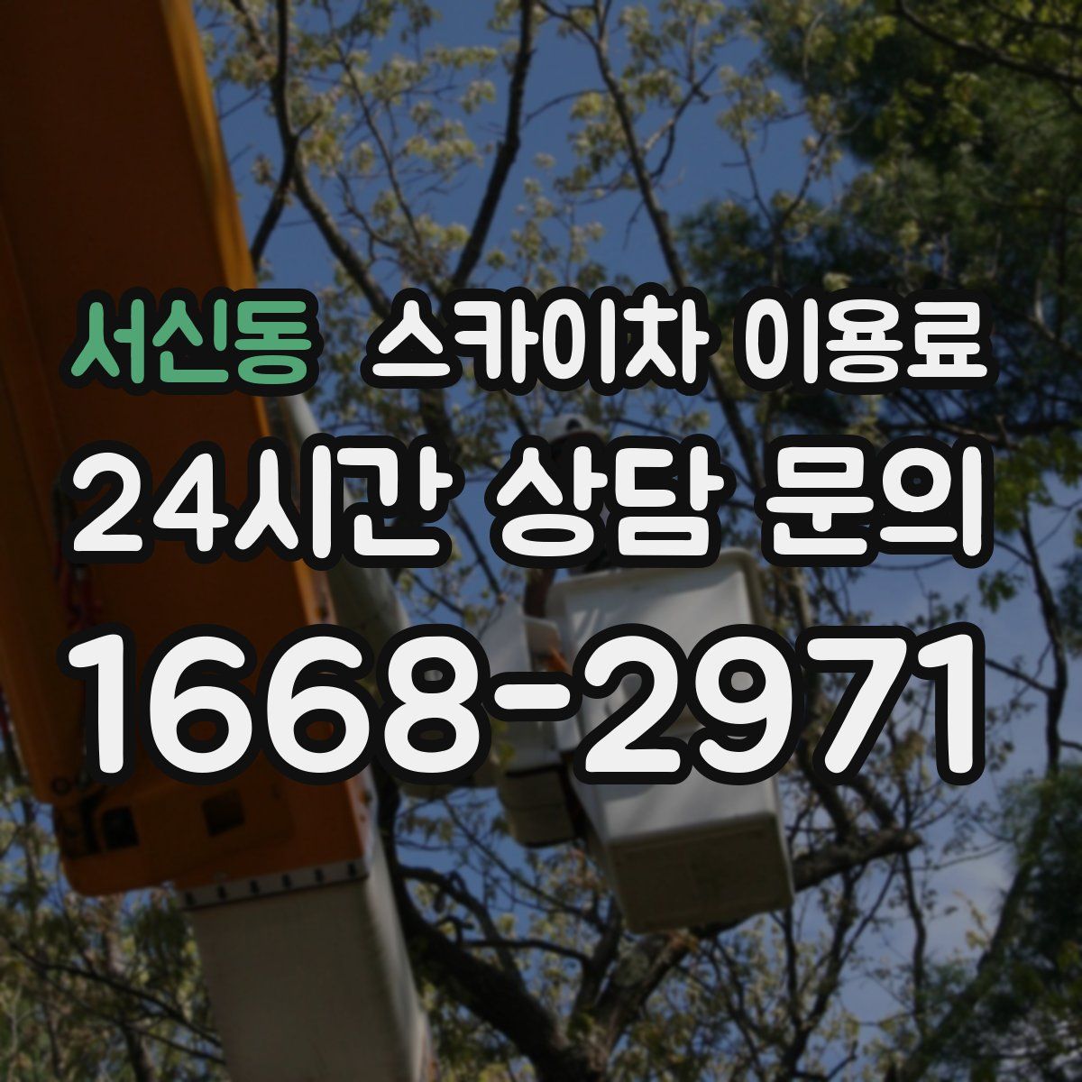 서신동 스카이차 이용료