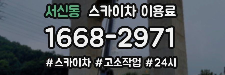 서신동 스카이차 이용료