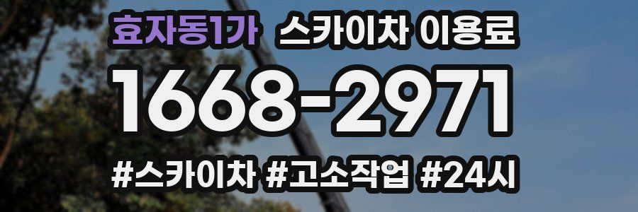 효자동1가 스카이차 이용료
