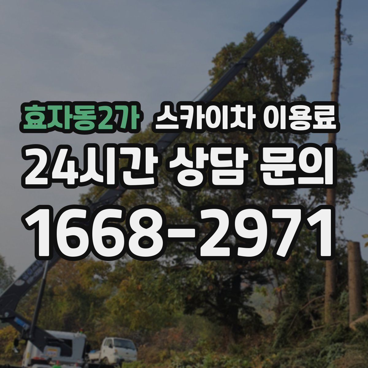 효자동2가 스카이차 이용료