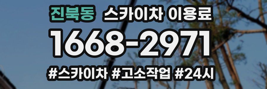 진북동 스카이차 이용료