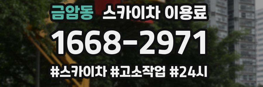 금암동 스카이차 이용료