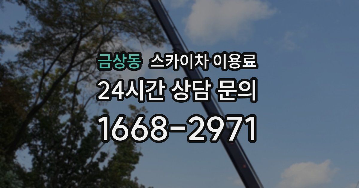 금상동 스카이차 이용료