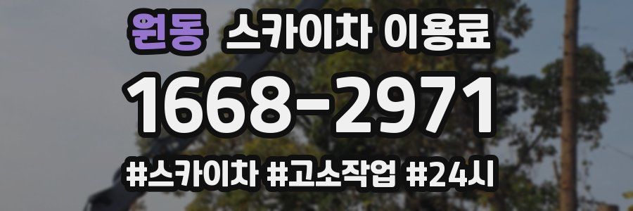 원동 스카이차 이용료