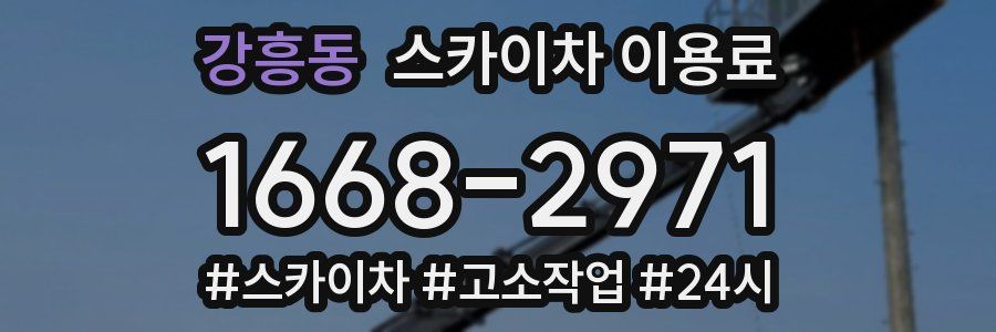 강흥동 스카이차 이용료