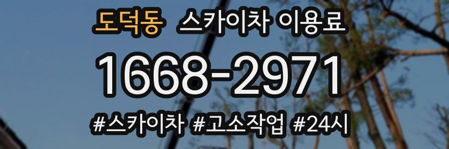 도덕동 스카이차 이용료