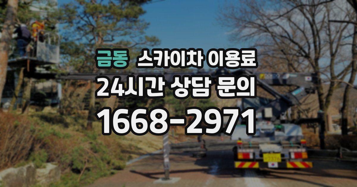 금동 스카이차 이용료