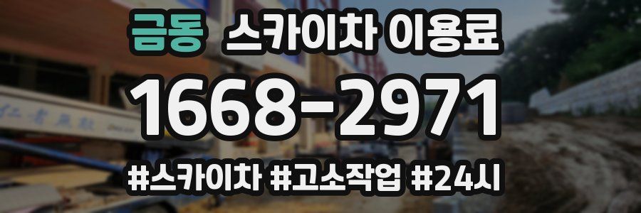 금동 스카이차 이용료