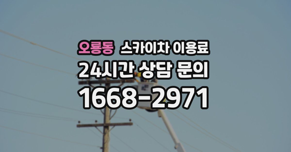오룡동 스카이차 이용료