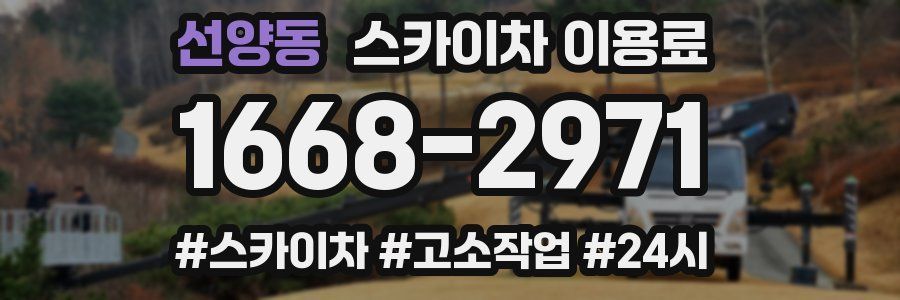 선양동 스카이차 이용료