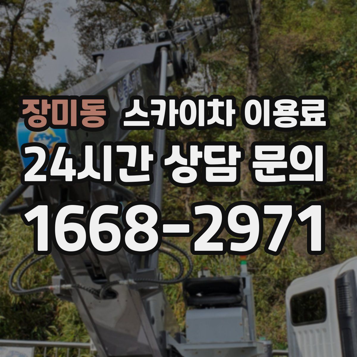 장미동 스카이차 이용료