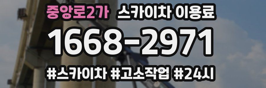 중앙로2가 스카이차 이용료