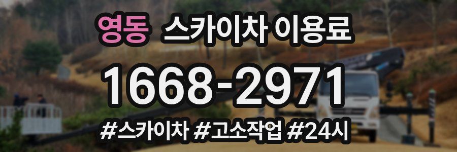 영동 스카이차 이용료