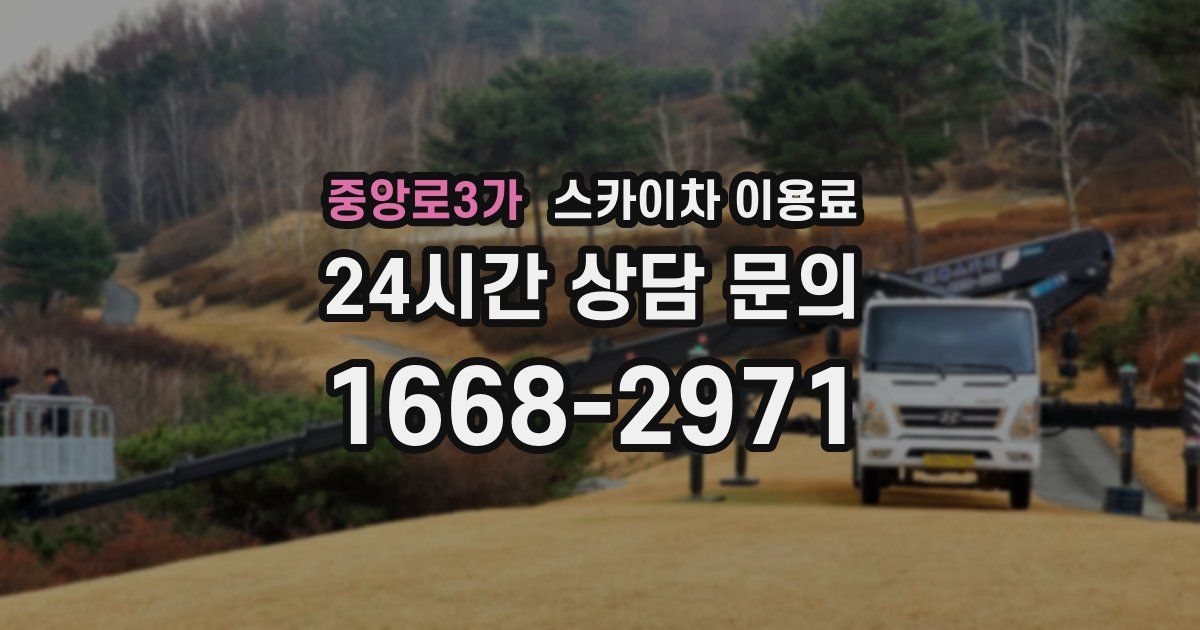 중앙로3가 스카이차 이용료