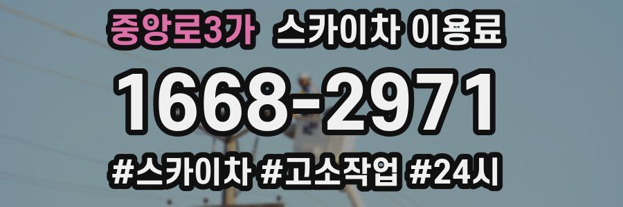중앙로3가 스카이차 이용료