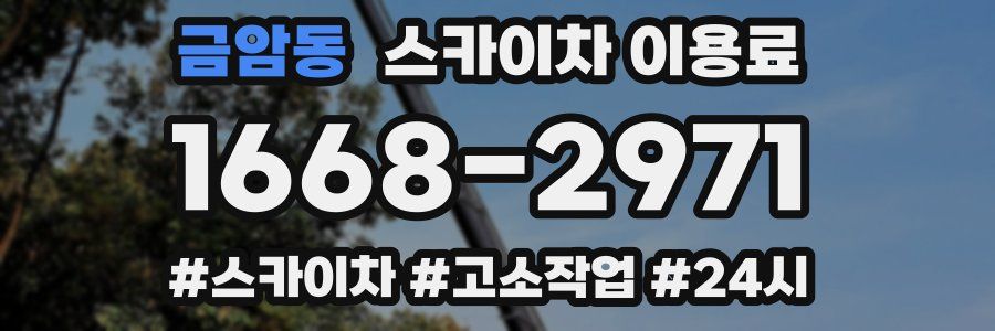 금암동 스카이차 이용료