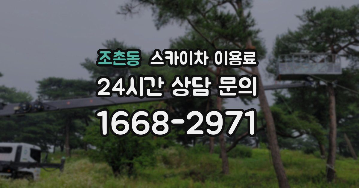 조촌동 스카이차 이용료